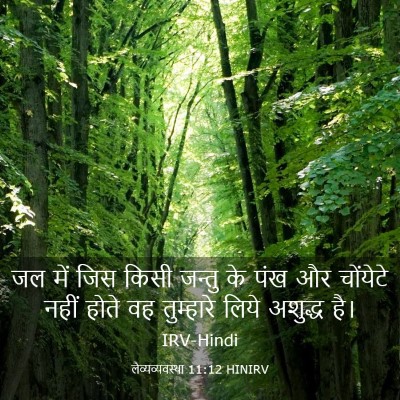 Picture 03 - लैव्यव्यवस्था 11:12 HINIRV - जल में जिस किसी - Bible Verse Picture