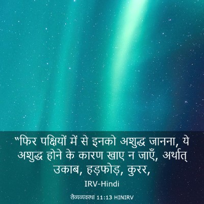 Picture 03 - लैव्यव्यवस्था 11:13 HINIRV - “फिर पक्षियों में - Bible Verse Picture