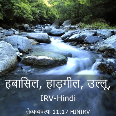 Picture 03 - लैव्यव्यवस्था 11:17 HINIRV - हबासिल, हाड़गील, - Bible Verse Picture