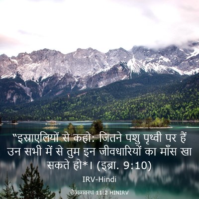 Picture 03 - लैव्यव्यवस्था 11:2 HINIRV - “इस्राएलियों से - Bible Verse Picture