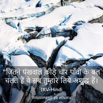 Picture 03 - लैव्यव्यवस्था 11:20 HINIRV - “जितने पंखवाले - Bible Verse Picture