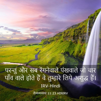 Picture 03 - लैव्यव्यवस्था 11:23 HINIRV - परन्तु और सब - Bible Verse Picture