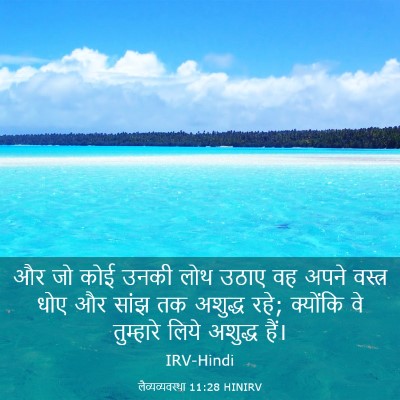 Picture 03 - लैव्यव्यवस्था 11:28 HINIRV - और जो कोई उनकी लोथ - Bible Verse Picture