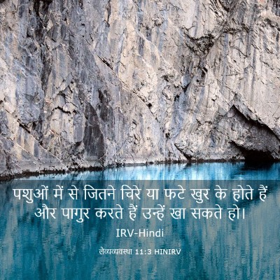 Picture 03 - लैव्यव्यवस्था 11:3 HINIRV - पशुओं में से जितने - Bible Verse Picture