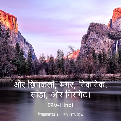 Picture 03 - लैव्यव्यवस्था 11:30 HINIRV - और छिपकली, मगर, - Bible Verse Picture