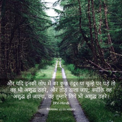 Picture 03 - लैव्यव्यवस्था 11:35 HINIRV - और यदि इनकी लोथ में - Bible Verse Picture