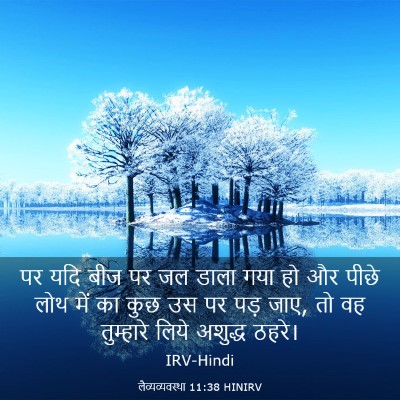 Picture 03 - लैव्यव्यवस्था 11:38 HINIRV - पर यदि बीज पर जल - Bible Verse Picture
