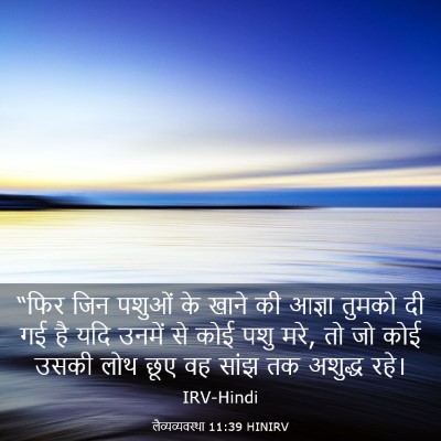 Picture 03 - लैव्यव्यवस्था 11:39 HINIRV - “फिर जिन पशुओं के - Bible Verse Picture