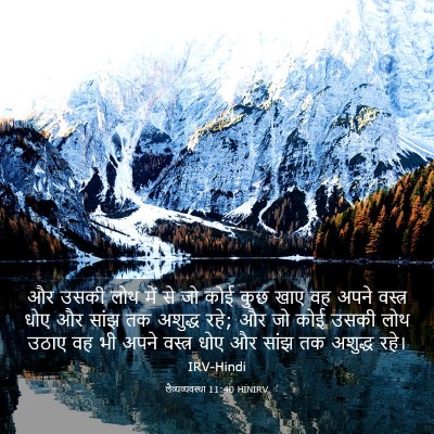 Picture 03 - लैव्यव्यवस्था 11:40 HINIRV - और उसकी लोथ में से - Bible Verse Picture
