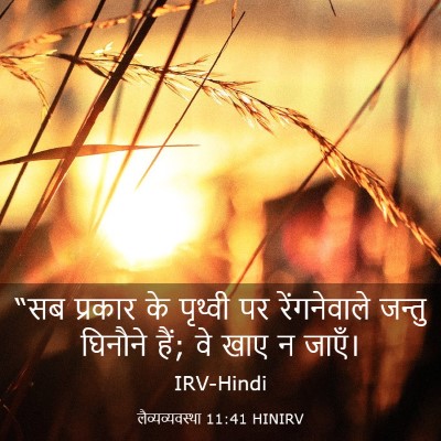 Picture 03 - लैव्यव्यवस्था 11:41 HINIRV - “सब प्रकार के - Bible Verse Picture