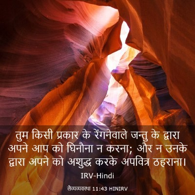Picture 03 - लैव्यव्यवस्था 11:43 HINIRV - तुम किसी प्रकार के - Bible Verse Picture