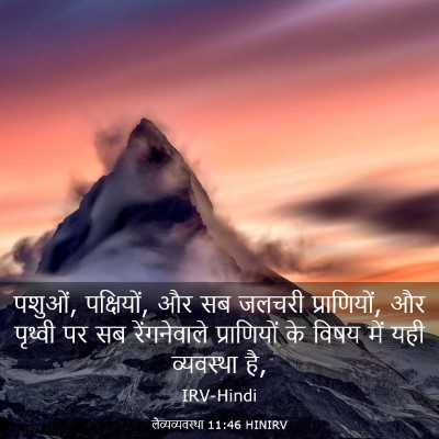 Picture 03 - लैव्यव्यवस्था 11:46 HINIRV - पशुओं, पक्षियों, और - Bible Verse Picture