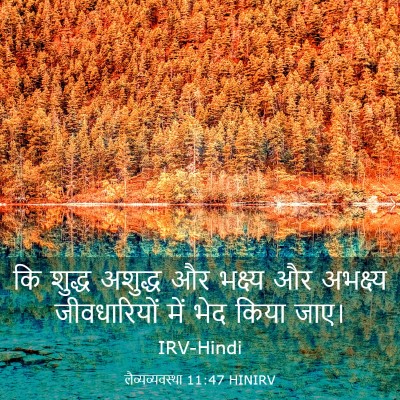 Picture 03 - लैव्यव्यवस्था 11:47 HINIRV - कि शुद्ध अशुद्ध और - Bible Verse Picture