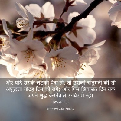 Picture 03 - लैव्यव्यवस्था 12:5 HINIRV - और यदि उसके लड़की - Bible Verse Picture