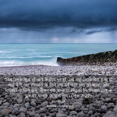 Picture 03 - लैव्यव्यवस्था 12:6 HINIRV - “जब उसके शुद्ध हो - Bible Verse Picture