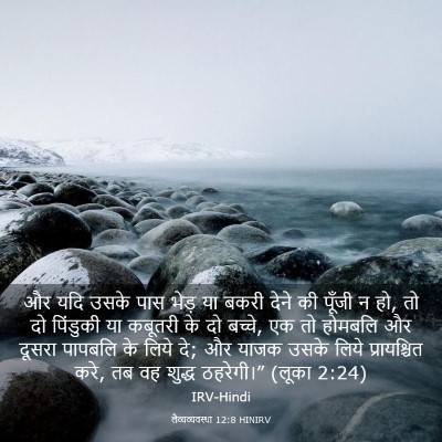 Picture 03 - लैव्यव्यवस्था 12:8 HINIRV - और यदि उसके पास - Bible Verse Picture
