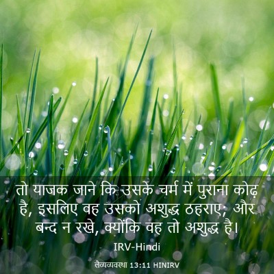 Picture 03 - लैव्यव्यवस्था 13:11 HINIRV - तो याजक जाने कि - Bible Verse Picture