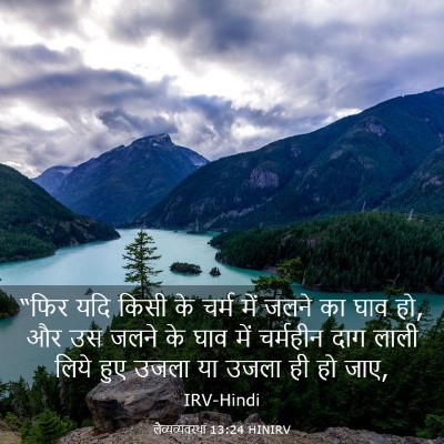 Picture 03 - लैव्यव्यवस्था 13:24 HINIRV - “फिर यदि किसी के - Bible Verse Picture