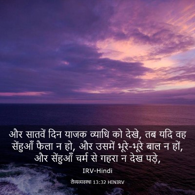 Picture 03 - लैव्यव्यवस्था 13:32 HINIRV - और सातवें दिन याजक - Bible Verse Picture