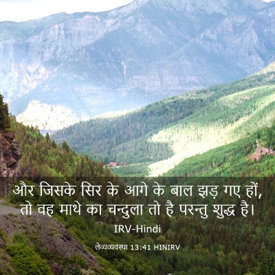 Picture 03 - लैव्यव्यवस्था 13:41 HINIRV - और जिसके सिर के आगे - Bible Verse Picture