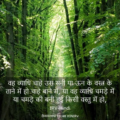 Picture 03 - लैव्यव्यवस्था 13:48 HINIRV - वह व्याधि चाहे उस - Bible Verse Picture