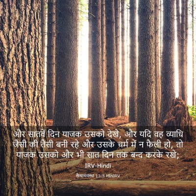 Picture 03 - लैव्यव्यवस्था 13:5 HINIRV - और सातवें दिन याजक - Bible Verse Picture