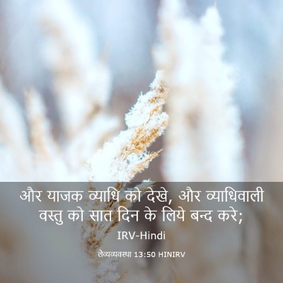 Picture 03 - लैव्यव्यवस्था 13:50 HINIRV - और याजक व्याधि को - Bible Verse Picture