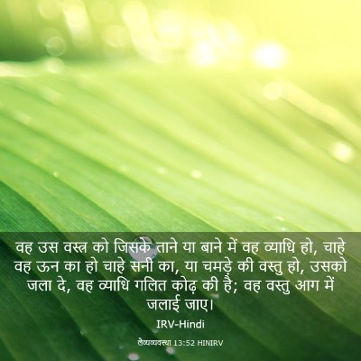 Picture 03 - लैव्यव्यवस्था 13:52 HINIRV - वह उस वस्त्र को - Bible Verse Picture