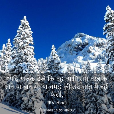 Picture 03 - लैव्यव्यवस्था 13:53 HINIRV - “यदि याजक देखे कि - Bible Verse Picture