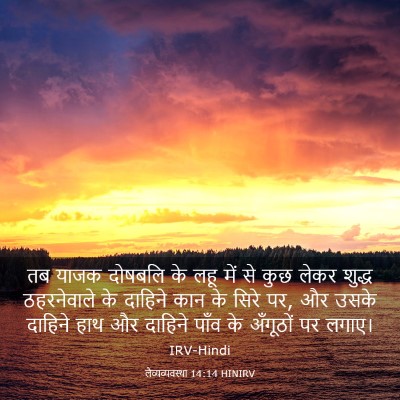 Picture 03 - लैव्यव्यवस्था 14:14 HINIRV - तब याजक दोषबलि के - Bible Verse Picture