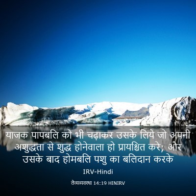 Picture 03 - लैव्यव्यवस्था 14:19 HINIRV - याजक पापबलि को भी - Bible Verse Picture