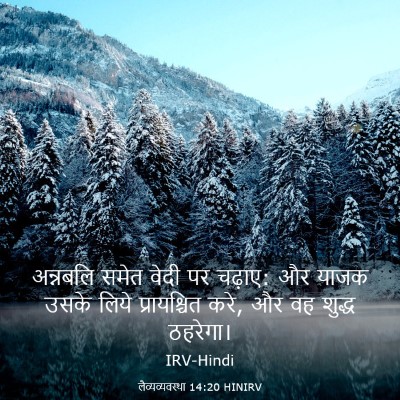 Picture 03 - लैव्यव्यवस्था 14:20 HINIRV - अन्नबलि समेत वेदी - Bible Verse Picture