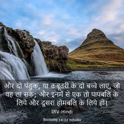 Picture 03 - लैव्यव्यवस्था 14:22 HINIRV - और दो पंडुक, या - Bible Verse Picture