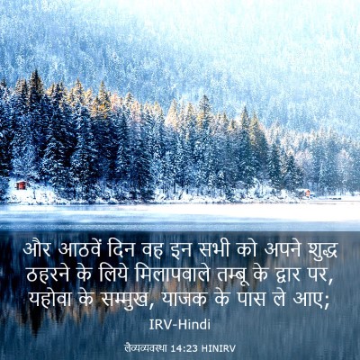 Picture 03 - लैव्यव्यवस्था 14:23 HINIRV - और आठवें दिन वह इन - Bible Verse Picture