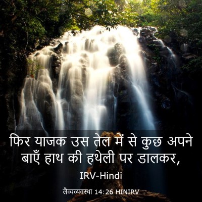 Picture 03 - लैव्यव्यवस्था 14:26 HINIRV - फिर याजक उस तेल में - Bible Verse Picture