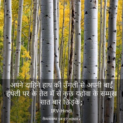 Picture 03 - लैव्यव्यवस्था 14:27 HINIRV - अपने दाहिने हाथ की - Bible Verse Picture