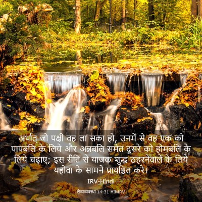Picture 03 - लैव्यव्यवस्था 14:31 HINIRV - अर्थात् जो पक्षी - Bible Verse Picture