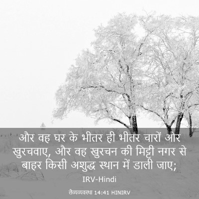 Picture 03 - लैव्यव्यवस्था 14:41 HINIRV - और वह घर के भीतर ही - Bible Verse Picture