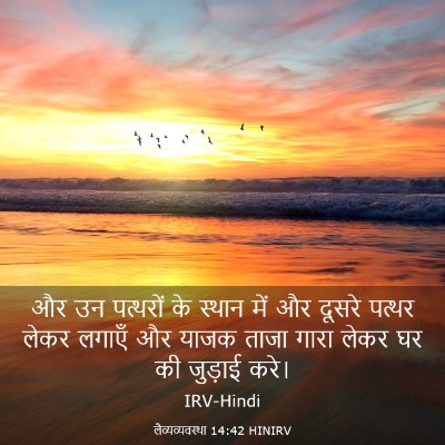 Picture 03 - लैव्यव्यवस्था 14:42 HINIRV - और उन पत्थरों के - Bible Verse Picture