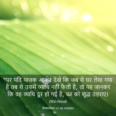 Picture 03 - लैव्यव्यवस्था 14:48 HINIRV - “पर यदि याजक आकर - Bible Verse Picture