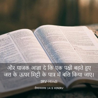 Picture 03 - लैव्यव्यवस्था 14:5 HINIRV - और याजक आज्ञा दे कि - Bible Verse Picture