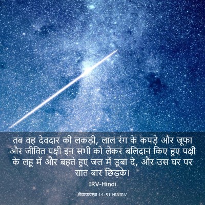 Picture 03 - लैव्यव्यवस्था 14:51 HINIRV - तब वह देवदार की - Bible Verse Picture