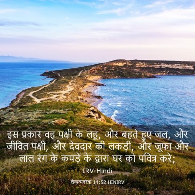 Picture 03 - लैव्यव्यवस्था 14:52 HINIRV - इस प्रकार वह पक्षी - Bible Verse Picture