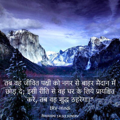 Picture 03 - लैव्यव्यवस्था 14:53 HINIRV - तब वह जीवित पक्षी - Bible Verse Picture