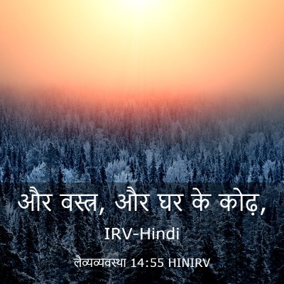 Picture 03 - लैव्यव्यवस्था 14:55 HINIRV - और वस्त्र, और घर के - Bible Verse Picture