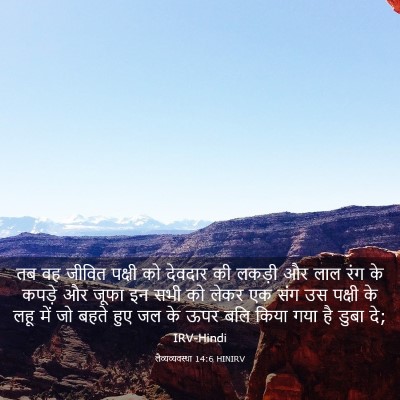 Picture 03 - लैव्यव्यवस्था 14:6 HINIRV - तब वह जीवित पक्षी - Bible Verse Picture