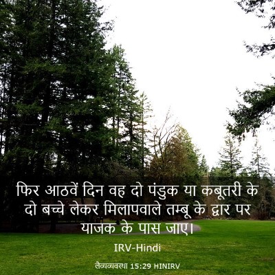 Picture 03 - लैव्यव्यवस्था 15:29 HINIRV - फिर आठवें दिन वह दो - Bible Verse Picture