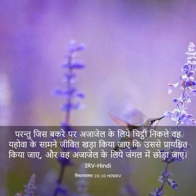 Picture 03 - लैव्यव्यवस्था 16:10 HINIRV - परन्तु जिस बकरे पर - Bible Verse Picture