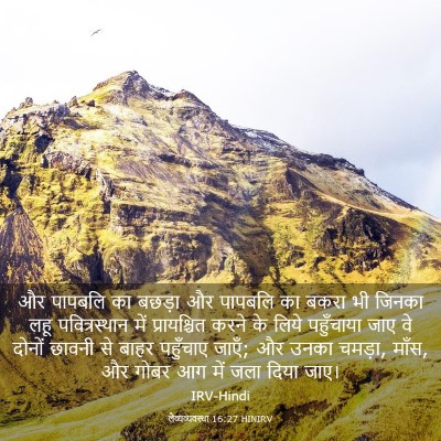 Picture 03 - लैव्यव्यवस्था 16:27 HINIRV - और पापबलि का बछड़ा - Bible Verse Picture