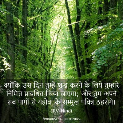 Picture 03 - लैव्यव्यवस्था 16:30 HINIRV - क्योंकि उस दिन - Bible Verse Picture